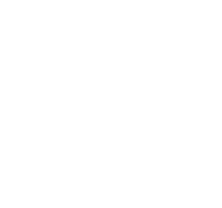 LRT blanc.png